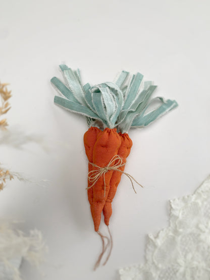 Newborn photography prop carrot Easter mini session