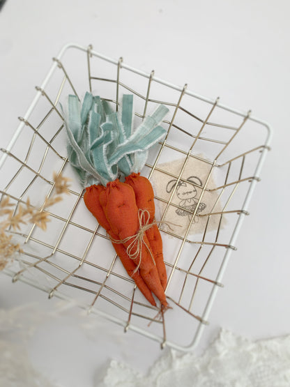 Easter carrot newborn photography prop UK studio setup