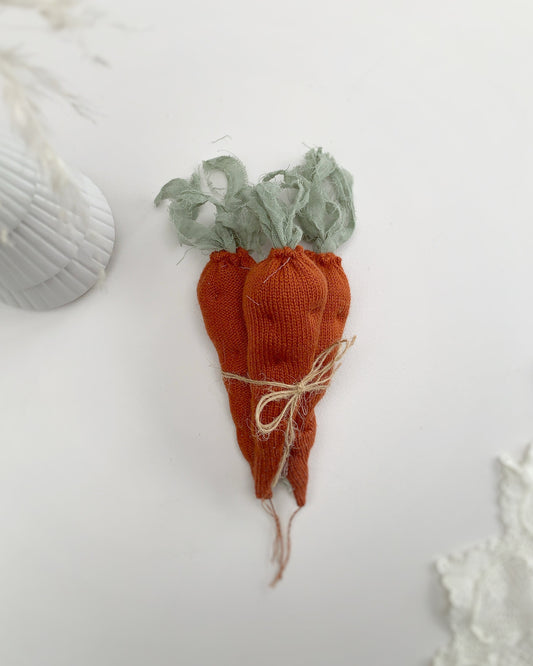 Easter carrot set newborn photography prop UK