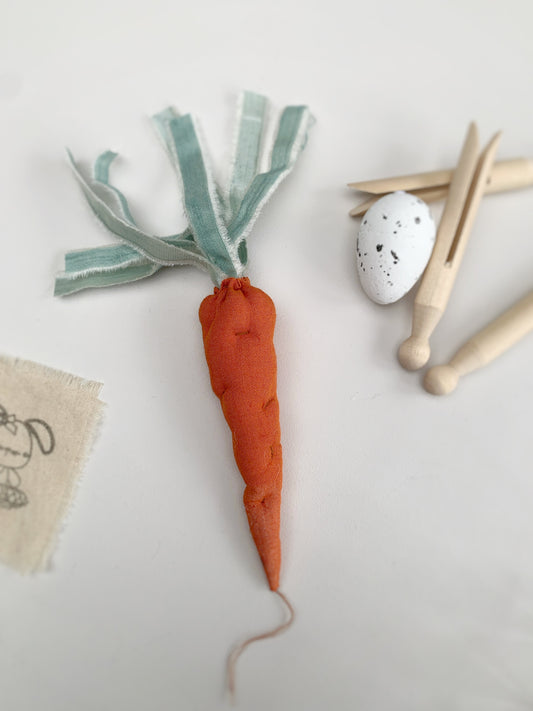 Spring baby photo carrot prop for newborn session