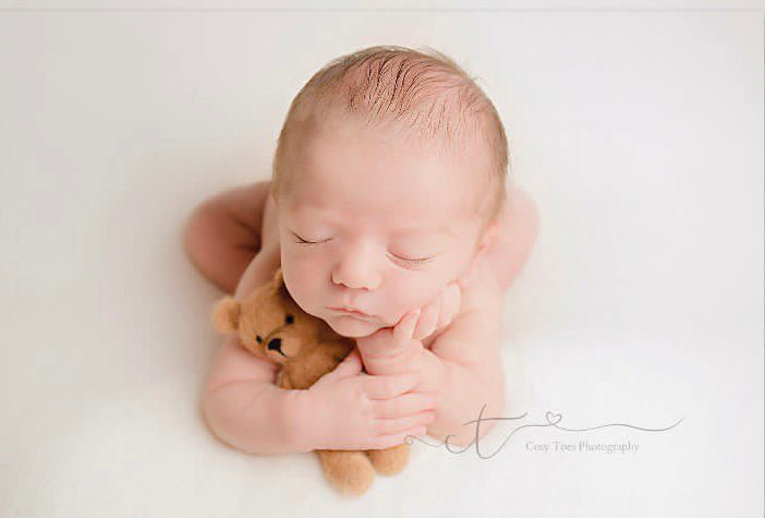 posing toys, newborn toys, photography props, newborn photo props, felted animals, needle felted toys